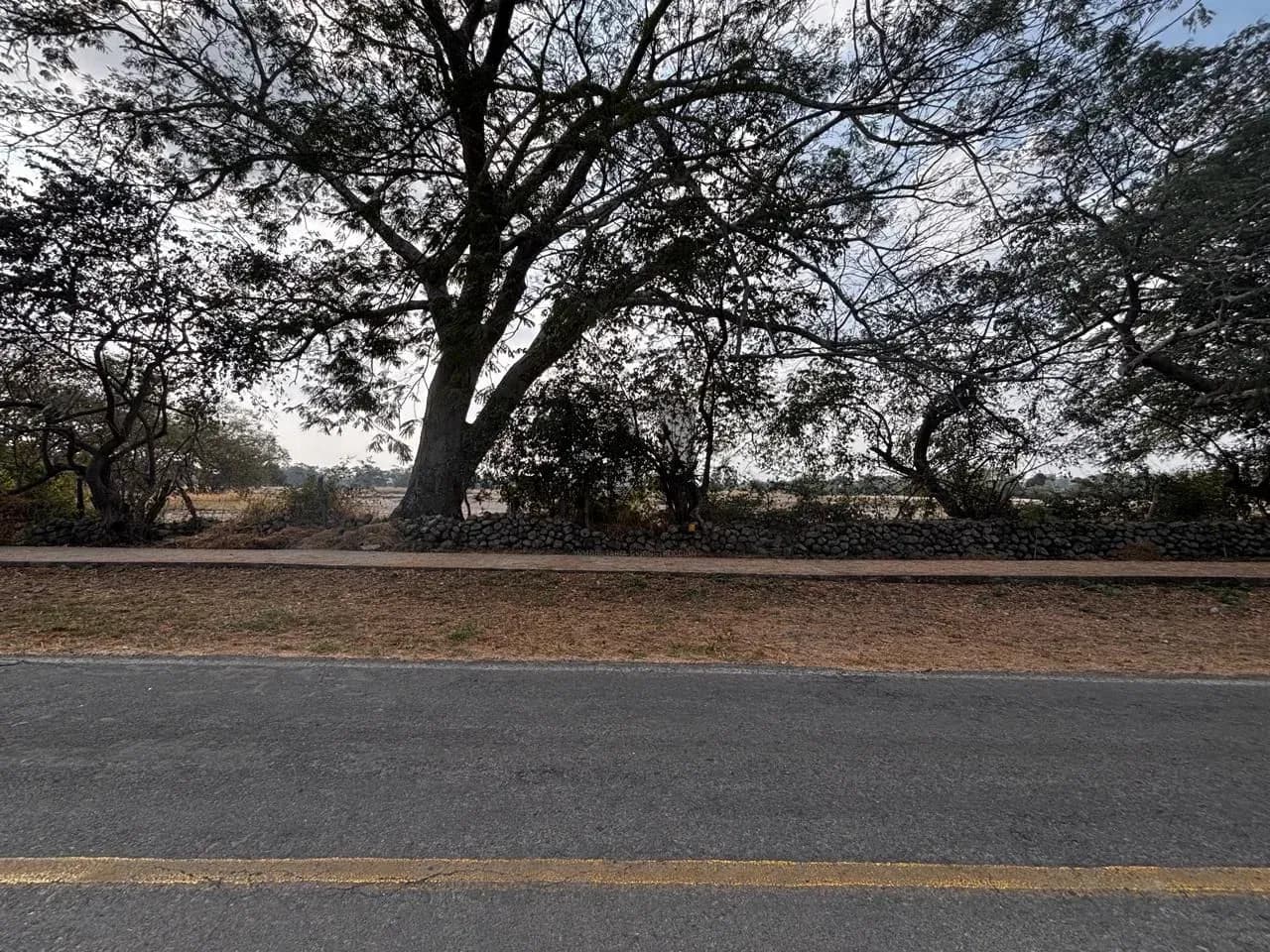 Terreno comercial en preventa en Hacienda El Trapiche, Cuauhtémoc, Colima — foto 8 de 12